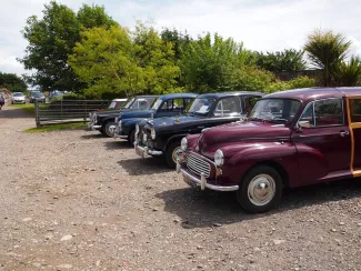 Orroland Open Garden day 2019