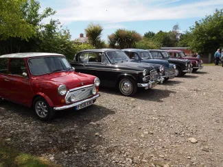 Orroland Open Garden day 2019